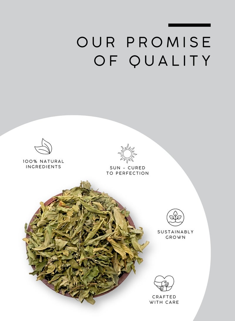 AWAFI MILL Stinging Nettle Leaf Loose Tea - Cut and Sifted - Farm Fresh 100% Natural Product - Dehydrated Caffeine-Free | Premium Quality Herbal Infusion - 100 g | 3.5 Oz - Image 4