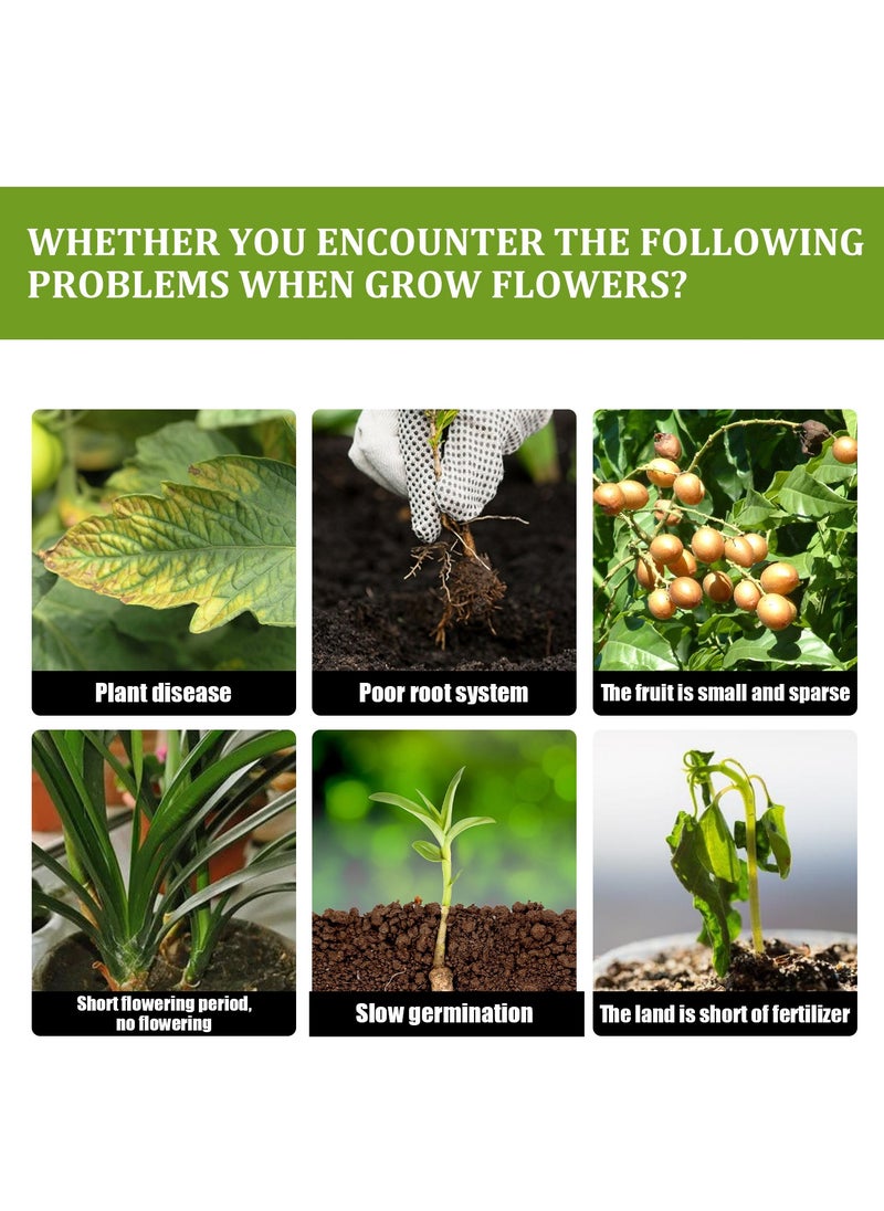 YEGBONG Plant Growth Enhancer Supplement Universal for Transplant and Rescue The Disease Seedlings, Promotes Rooting  - Image 4