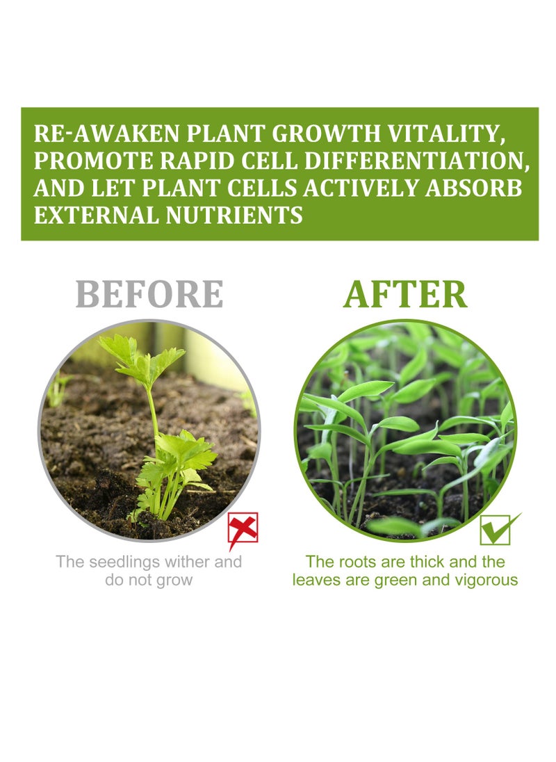 YEGBONG Plant Growth Enhancer Supplement Universal for Transplant and Rescue The Disease Seedlings, Promotes Rooting  - Image 5