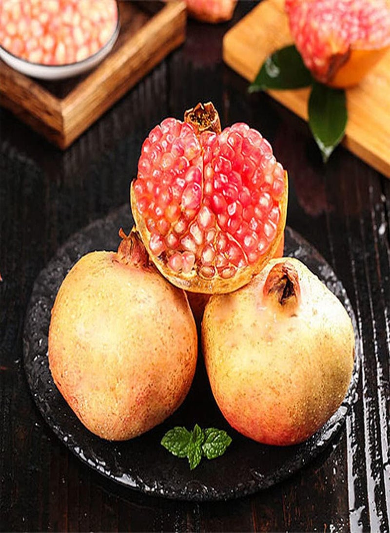 GGOOT 20Pcs Pomegranate Seeds Non GMO Heirloom Fruit Unique Fruit Decoration Garden Balcony Natural Delicious Fruits Easy Planting - Image 1