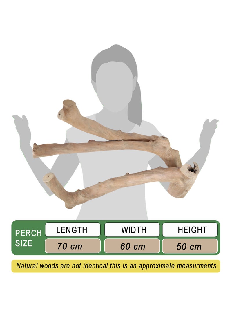CHEWY BEAK - Parrot tree branch perch made of solid java wood, for macaw parrots & big birds - Image 1