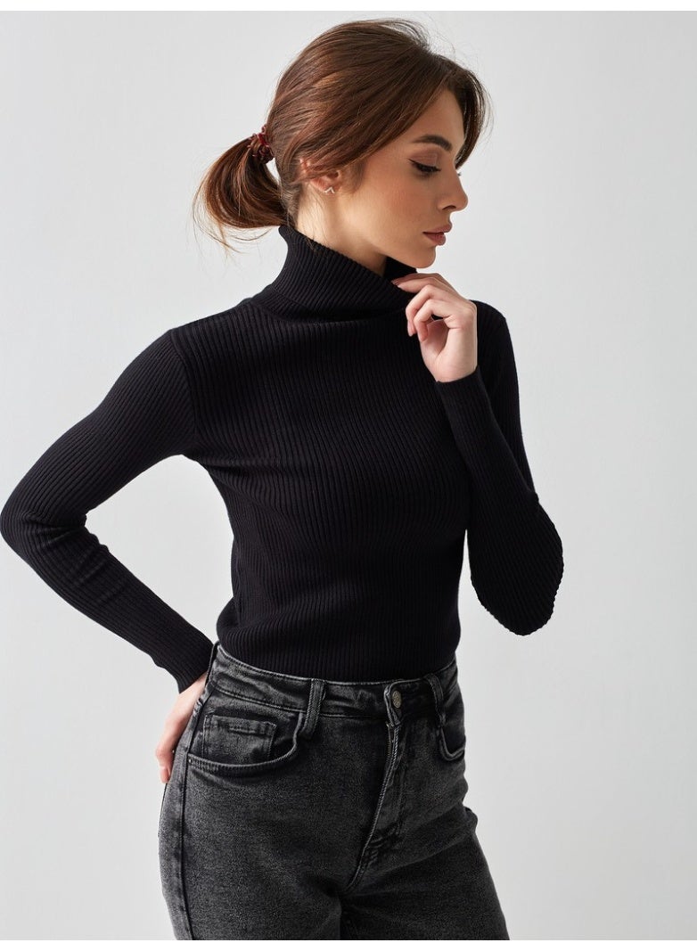 NIBEMINENT Bornladies Basic Turtleneck Women Sweaters Autumn Winter Tops Slim Women Pullover Knitted Sweater Jumper Soft Warm Pull - Image 3