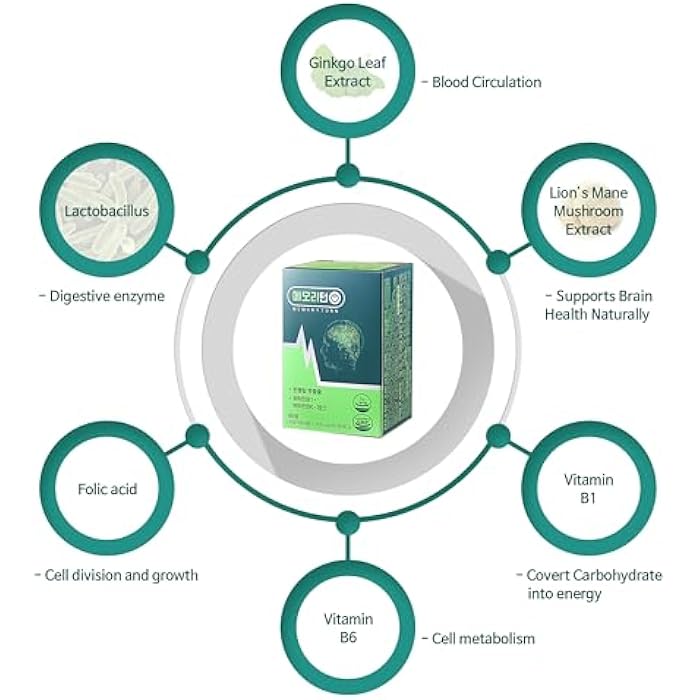 Memoryturn Brain Supplement – Natural Nootropic with Lion’s Mane & Ginkgo Biloba – Focus, Memory & Cognitive Support – Probiotic Formula with B Vitamins & Folate for Daily Wellness – 60 Capsules - Image 4