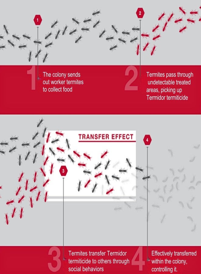 بي إيه إس إف رغوة تيرميدور من باسف، 20 أونصة - مبيد حشري للنمل الأبيض والآفات والحشرات المدمرة للخشب - Image 3