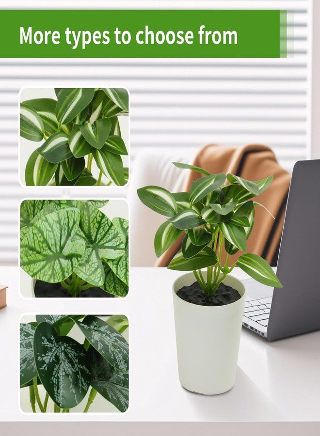 مجموعة نباتات اصطناعية من فريالايف، 6 قطع، لتزيين الغرف، نباتات اصطناعية صغيرة في أصص، مناسبة للمنزل والمكتب وغرفة المعيشة والمطبخ والفصول الدراسية والطاولات والرفوف والمكاتب والحمامات والديكورات الداخلية - Image 2