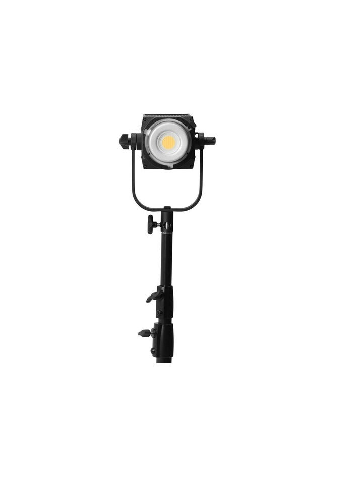 Nanlite FS-150B Bi-Color LED Monolight - Image 3