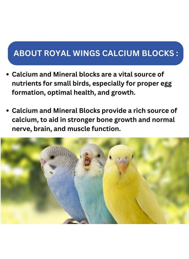 SF+ Royal Wings Calcium Mineral Blocks | Bird Food for Parrots, Love Birds, Finch, Cockatiel, Small Birds | Original Imported from Tunai Store (Pack of 2, Assorted Flavours) - pzsku/Z165417AE74F74632DB44Z/45/_/1738306720/33fccfe0-67f5-48c9-ae1e-bc92967ca363