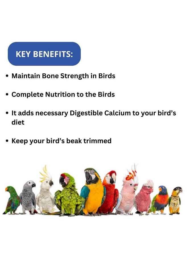 SF+ Royal Wings Calcium Mineral Blocks | Bird Food for Parrots, Love Birds, Finch, Cockatiel, Small Birds | Original Imported from Tunai Store (Pack of 2, Assorted Flavours) - pzsku/Z165417AE74F74632DB44Z/45/_/1738306872/34407c68-3f0e-4a94-8631-e2aebc31e115