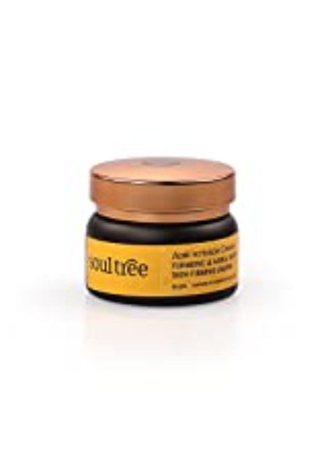 SOULTREE Anti-Wrinkle Cream With Turmeric, Aamla & Skin Firming Brahmi, For Dry To Normal Skin, 25Gm  - Image 4