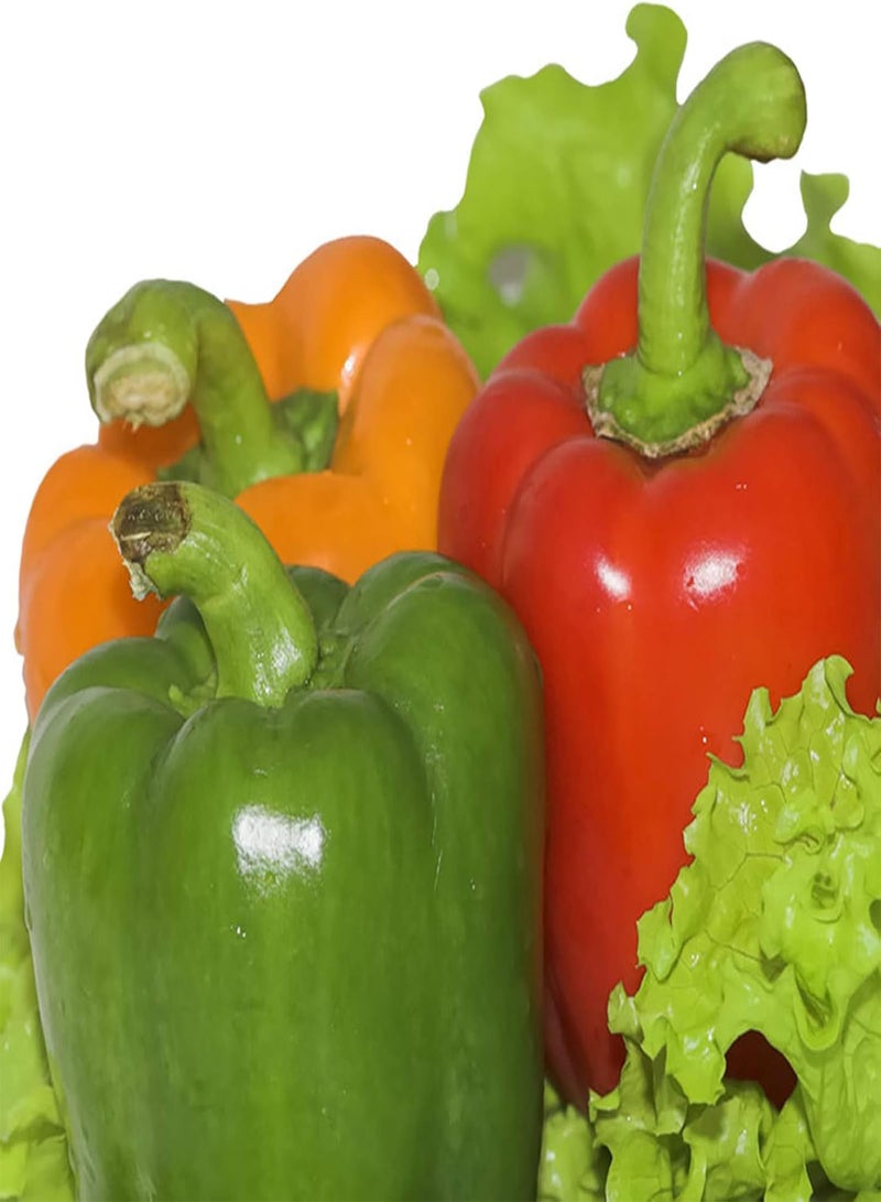 Green Garden Flower Plants-40Pcs/Bag Seeds Fresh Edible Living Household Rainbow Pepper Seeds for Greenhouse - Sweet Pepper Seeds