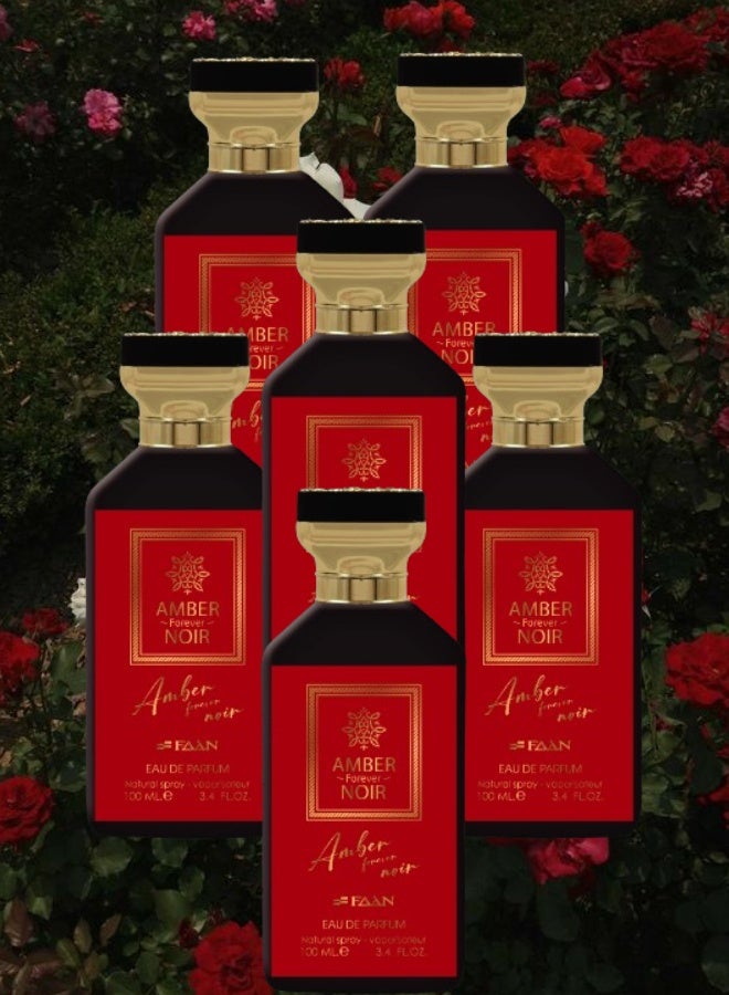 Faan 6 Pieces Amber Forever Noir Perfume 100ML - Image 1