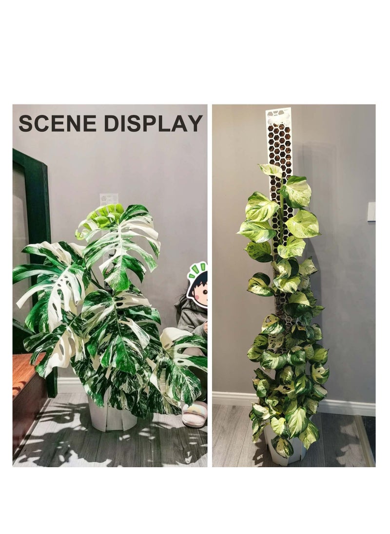 SYOSI - 2 Pcs 17 Inch Plastic Moss Pole for Plants Monstera, Designed Specifically for Climbing Plants, Stackable Plant Support,  Indoor Plants Plant Support Poles Work with Sphagnum Moss - Image 1