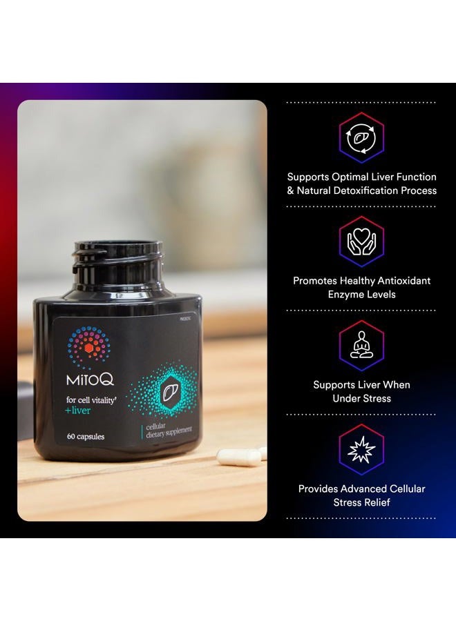 MitoQ +Liver Premium CoQ10 Antioxidant - Contains Mitoquinol Mesylate, Choline, Milk Thistle, Selenium - Supports Metabolism, Liver Health, Body's Natural Detoxification & Cell Vitality (60 Capsules) - Image 2