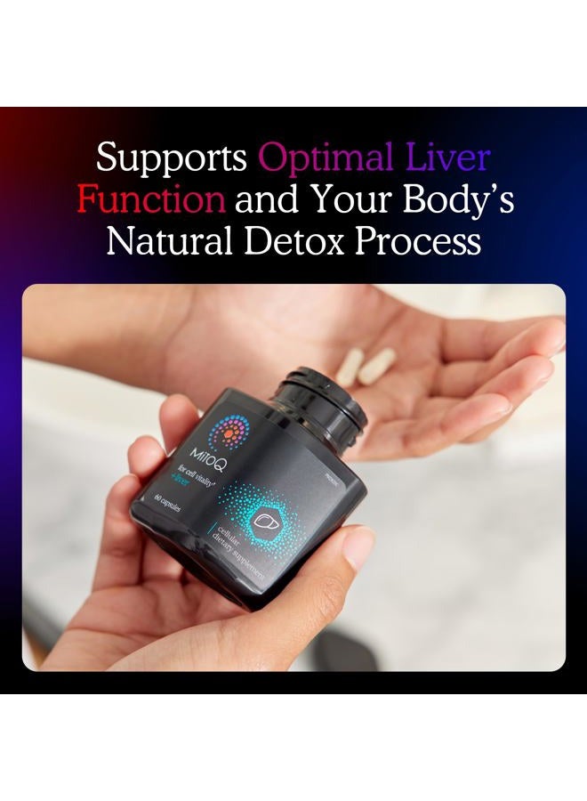 MitoQ +Liver Premium CoQ10 Antioxidant - Contains Mitoquinol Mesylate, Choline, Milk Thistle, Selenium - Supports Metabolism, Liver Health, Body's Natural Detoxification & Cell Vitality (60 Capsules) - Image 3