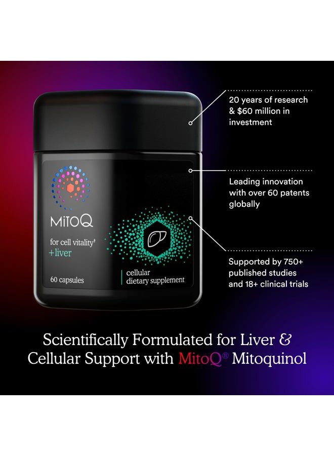 MitoQ +Liver Premium CoQ10 Antioxidant - Contains Mitoquinol Mesylate, Choline, Milk Thistle, Selenium - Supports Metabolism, Liver Health, Body's Natural Detoxification & Cell Vitality (60 Capsules) - Image 4