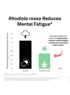 NeuroScience Adrecor Energy Supplement With Rhodiola Rosea Vitamin C + Green Tea Extract Help Reduce Fatigue Brain Fog Promote Mood Improve Focus + Manage Stress 90 Capsules  - Image 4