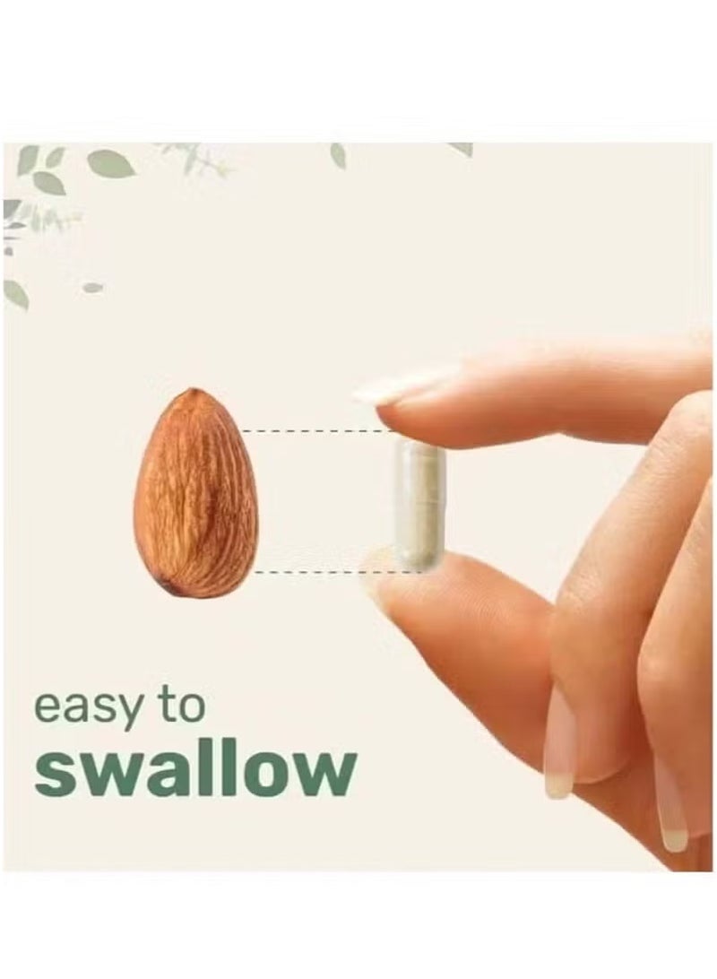 كولاجين كبسولات بروتين الكولاجين المتعددة من مايكرو إنجريدينتس، وزن 2 باوند - الأنواع 1، 2، 3، 5، 10 مع البيوتين، حمض الهيالورونيك، فيتامين ج - ببتيدات كولاجين بدون نكهة - مناسبة لحمية الكيتو والباليو، سهلة الذوبان، غير معدلة وراثيًا، 240 كبسولة - Image 3