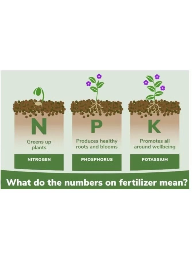 PREMIUM NPK 20 20 20 All Purpose Fertilizer for Outdoor and Indoor Plants 1kg Water Soluble Fertilizer - Image 2