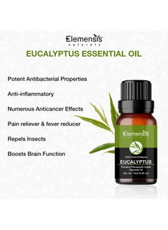 Eucalyptus Essential Oil 100% Pure Natural Undiluted & Organic Eucalyptus Oil For Cold And Cough Pain Relief Nilgiri Oil 15Ml - pzsku/Z165BFC49FEE26BDA608CZ/45/_/1720000174/3e1da12b-49a8-4e9c-ad53-047dc0d86457