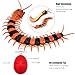 Tipmant Realistic RC Centipede Scolopendra Toy Infrared Remote Control Animal Vehicle Car Scary Prank Kids Birthday Gifts Orang Stripe - Image 4