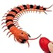 Tipmant Realistic RC Centipede Scolopendra Toy Infrared Remote Control Animal Vehicle Car Scary Prank Kids Birthday Gifts Orang Stripe - Image 2