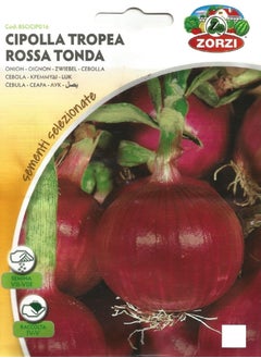 ZORZI Onion Seeds 