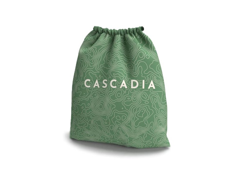 AEG & Flatout Games | Cascadia - Award-Winning Board Game Set in the Pacific Northwest | Easy to Learn | Quick to Play | Ages 10+ - Image 4