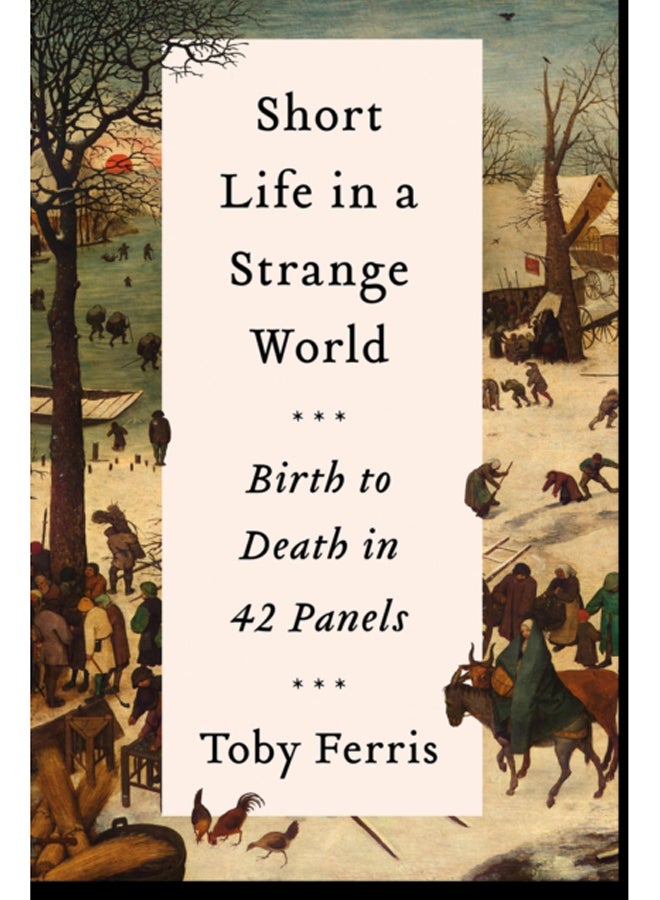 Short Life in a Strange World : Birth to Death in 42 Panels 