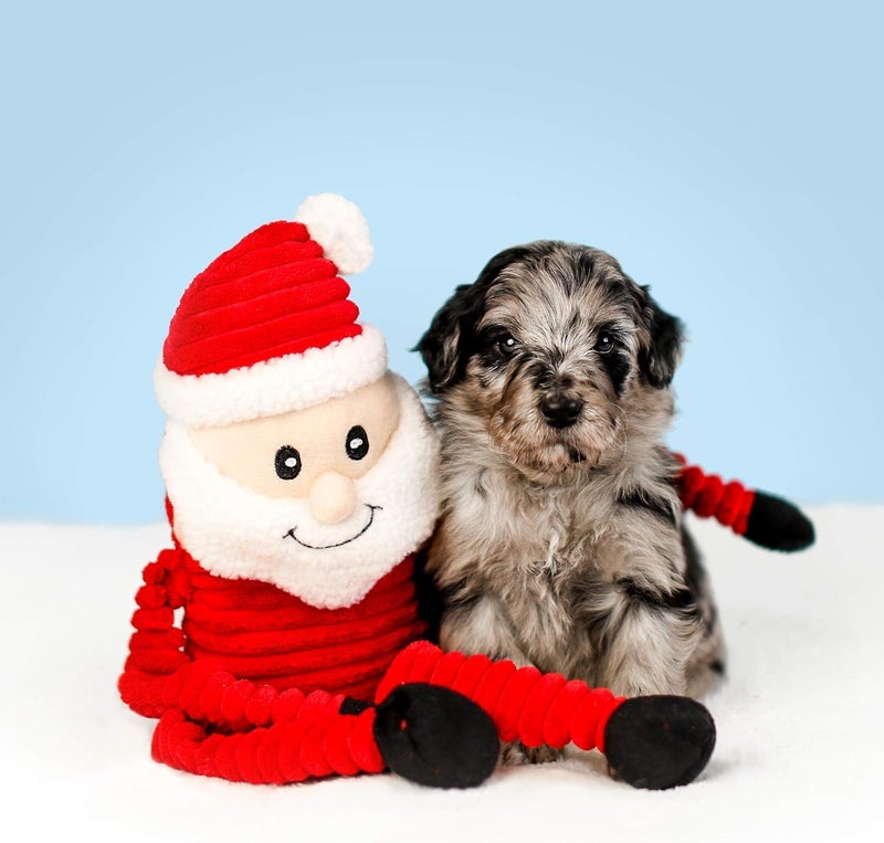 ZippyPaws Holiday Crinkle Plush Squeaky Christmas Dog Toy - Santa Small - Image 2