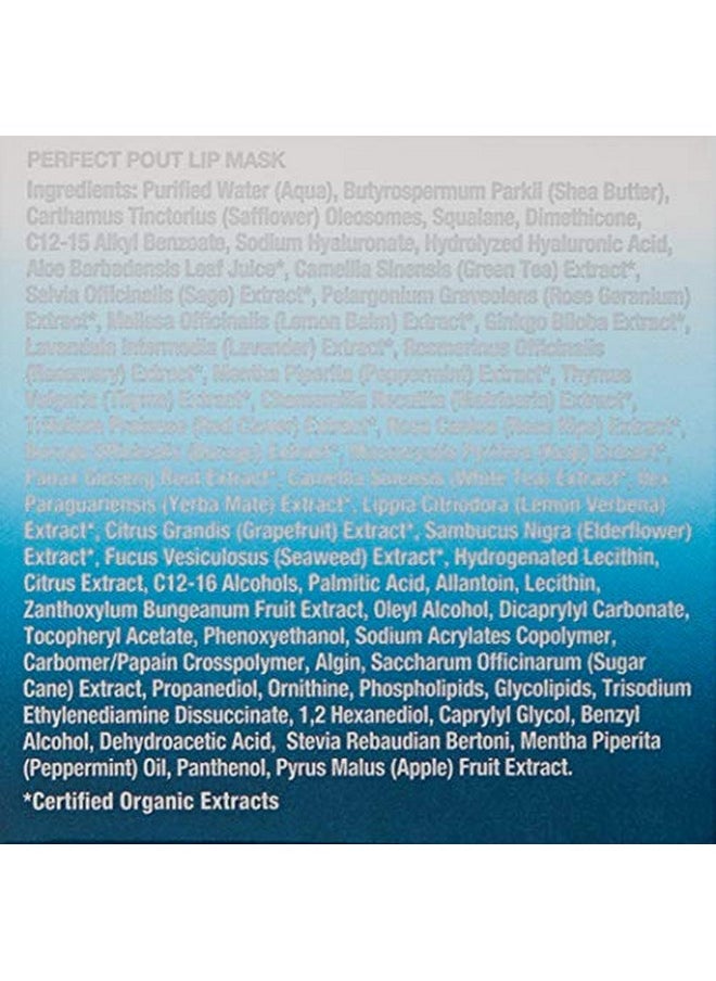 KAPLANMD - Perfect Pout Lip Mask Volumizing Treatment + Exfoliation 1.0 Oz - Image 1