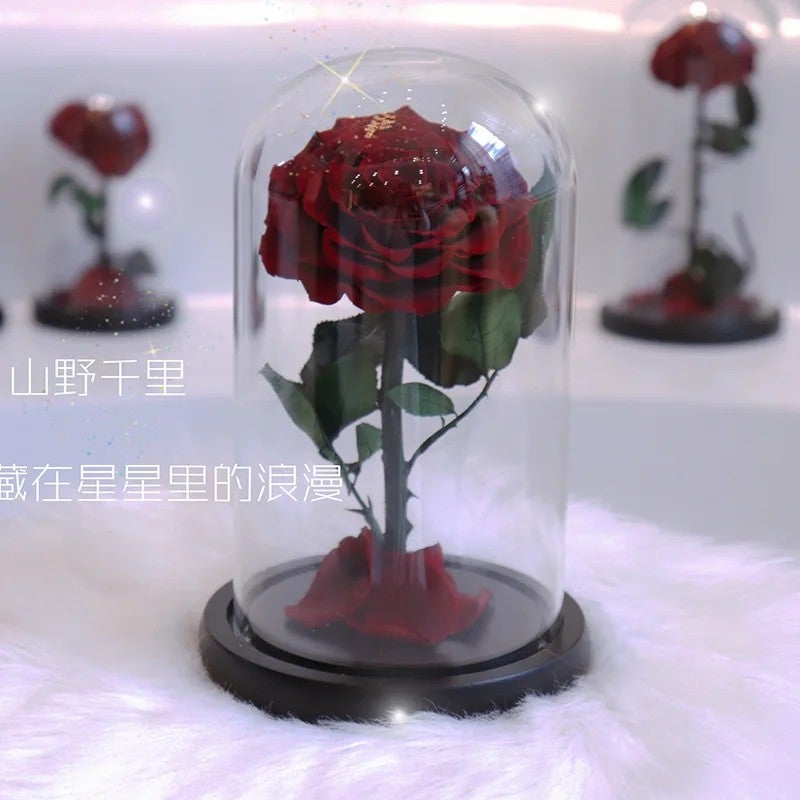 Bluejw Eternal Rose Gift for Mom, Preserved Flower in Glass Dome with LED, Forever Roses Valentines Day, Dried Plants Decor - Image 1