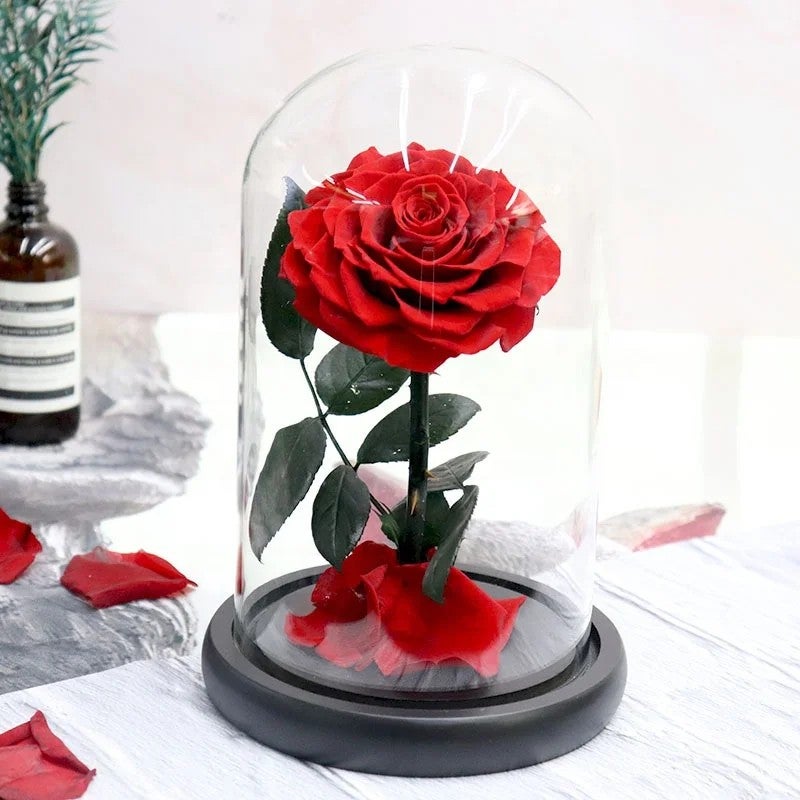 Bluejw Eternal Rose Gift for Mom, Preserved Flower in Glass Dome with LED, Forever Roses Valentines Day, Dried Plants Decor - Image 5