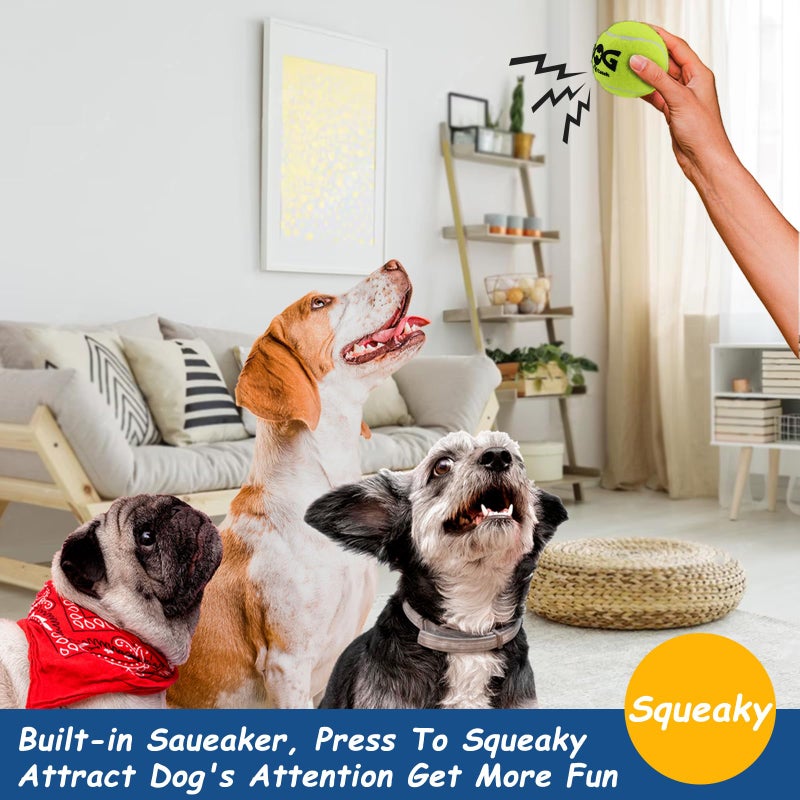 insum Squeaky Tennis Balls for Dogs Colorful Easy Catching Pet Toy Balls 12 Pack (2.5inch-6colors) - Image 3