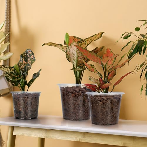 DUNPUTE 15 Pack Clear Nursery Pots with Drainage Holes, 3 Inch Seed Starting Plastic Plant Pots, Transparent Variety Pack Flexible Garden Pot for Outdoor Indoor (Clear, 3 Inch) - Image 2
