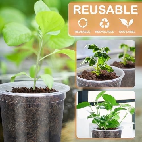 DUNPUTE 15 Pack Clear Nursery Pots with Drainage Holes, 3 Inch Seed Starting Plastic Plant Pots, Transparent Variety Pack Flexible Garden Pot for Outdoor Indoor (Clear, 3 Inch) - Image 5