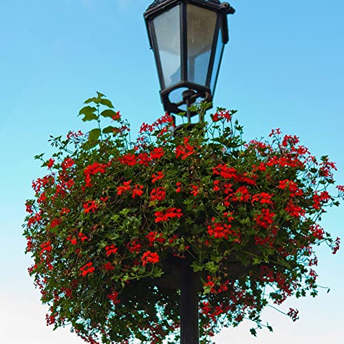 FDGARDEN 4PCS Coco Liner for Hanging Basket - 10 Inch Round - 100% Natural Planter Liner Replacement - Image 5