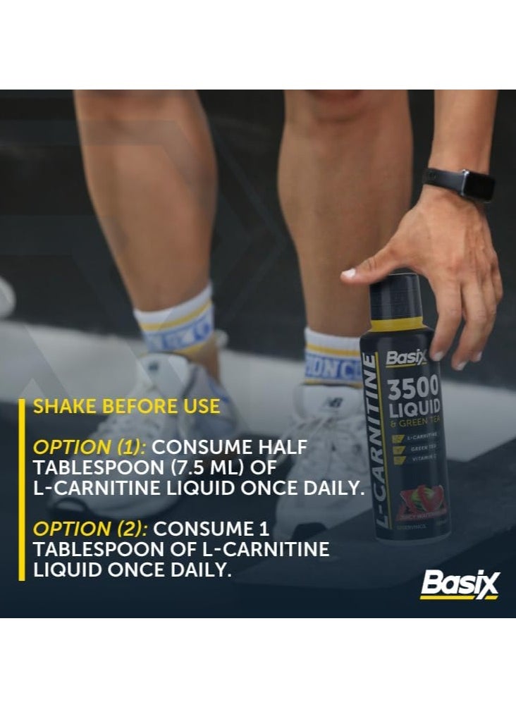 Basix - L-Carnitine Liquid - Blue Razz - (480 ml) - Image 1