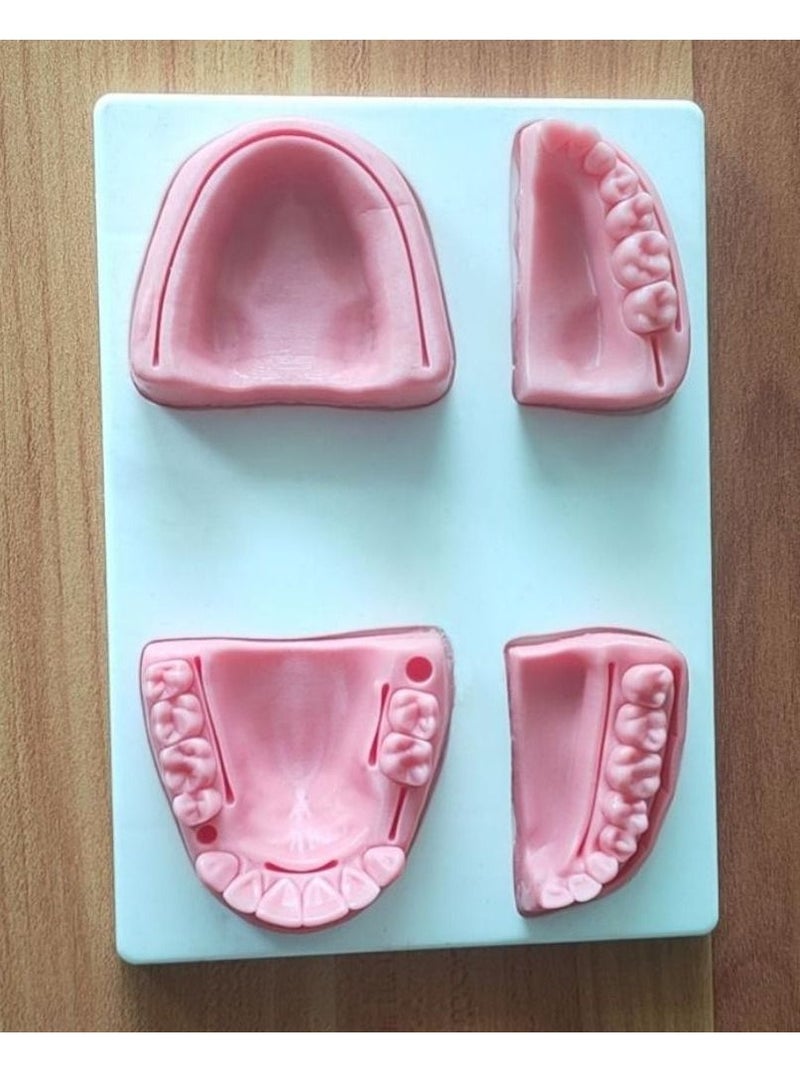 Generic Latest Products Oral Suture Practice Model With Base Tooth Module Dental Medical Student Training Teaching Silicone Module - Image 1