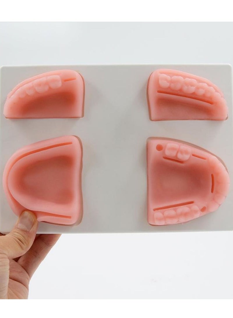 Generic Latest Products Oral Suture Practice Model With Base Tooth Module Dental Medical Student Training Teaching Silicone Module - Image 5
