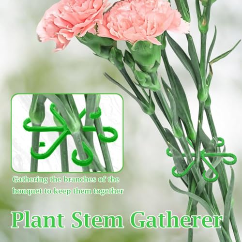 HASTHIP® 4 Pack Plant Climbers Stem Holders - 6-Claw Plastic Plant Stem Supports - Gardening Plant Supports Rings - Plant Support Clips for Climbers - Stem Supports Climbing House - Plant Accessories - Image 5