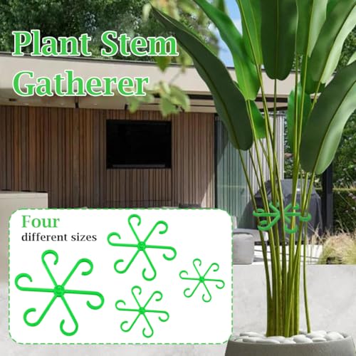 HASTHIP® 4 Pack Plant Climbers Stem Holders - 6-Claw Plastic Plant Stem Supports - Gardening Plant Supports Rings - Plant Support Clips for Climbers - Stem Supports Climbing House - Plant Accessories - Image 3