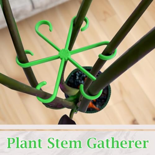 HASTHIP® 4 Pack Plant Climbers Stem Holders - 6-Claw Plastic Plant Stem Supports - Gardening Plant Supports Rings - Plant Support Clips for Climbers - Stem Supports Climbing House - Plant Accessories - Image 2