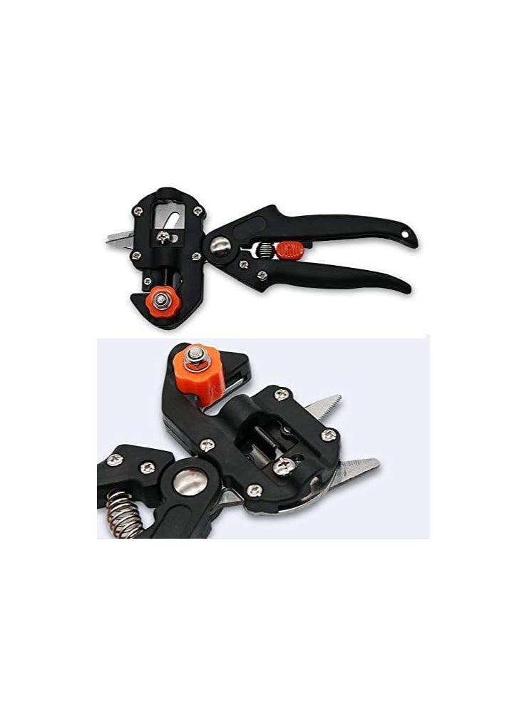 Generic - Grafting scissors - Image 1
