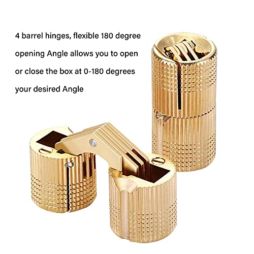Doublelife 4PCS Hidden Invisible Concealed Copper Barrel Hinge 12mm for DIY Wooden Door (12mm) … - Image 5
