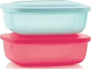 Tupperware Rectangular 500 ml 2 Liter Storage Container