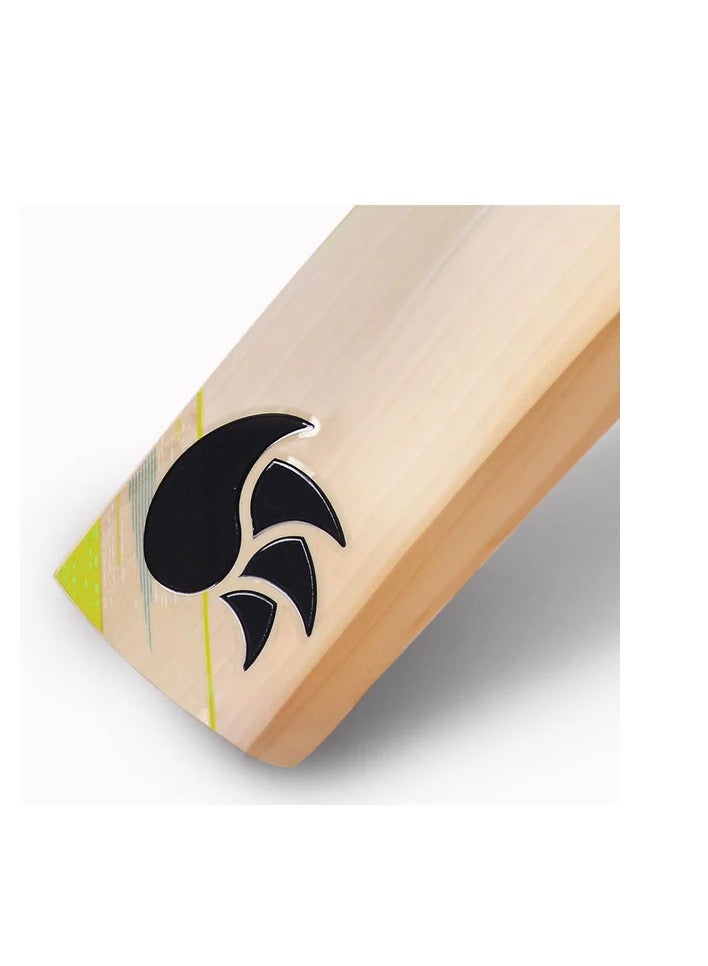 DSC Condor Drive - Image 2