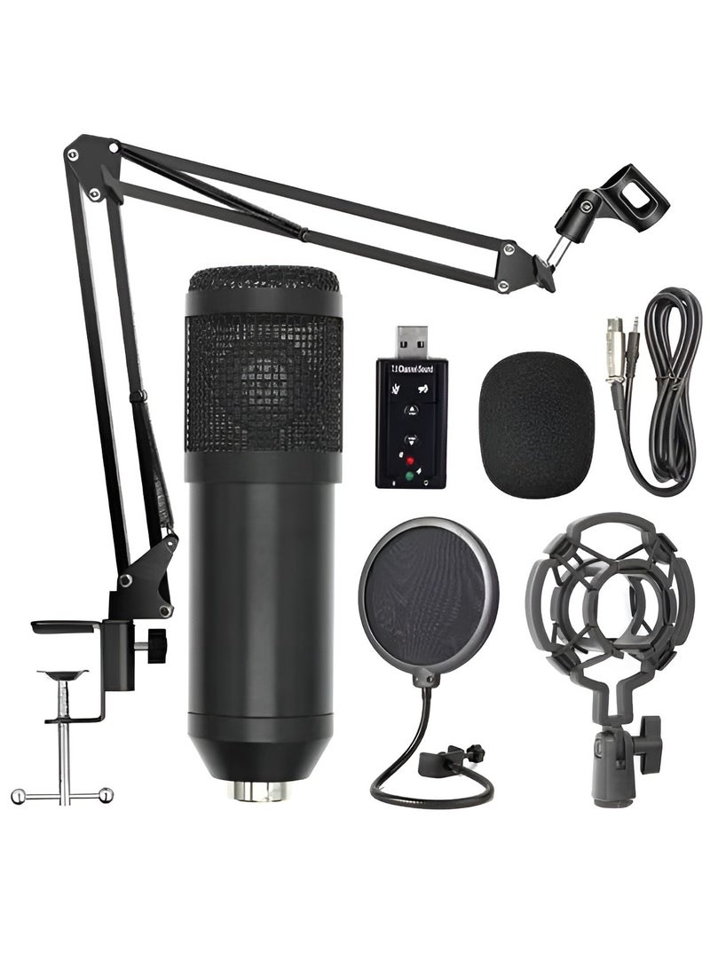 طقم ميكروفون تعليق احترافي BM800 أسود - Image 1