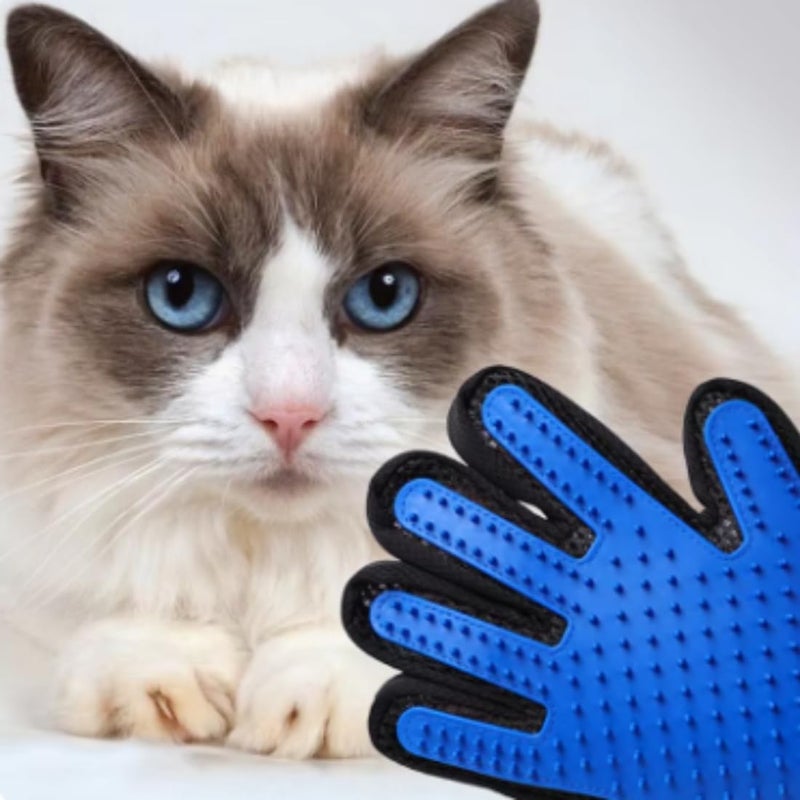 DRUMSTONE Silicone Pet Grooming Glove with Soft Massage Tips for Dogs & Cats | Shedding Hair Remover | Gentle Bath Brush for Long, Short & Curly Haired Pets - Image 5