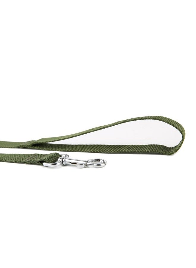 Taida Strong Nylon Dog Leash, for Medium Large Dogs Walking, Training or Exploring, 10 feet Long 1 inch Wide - Image 3