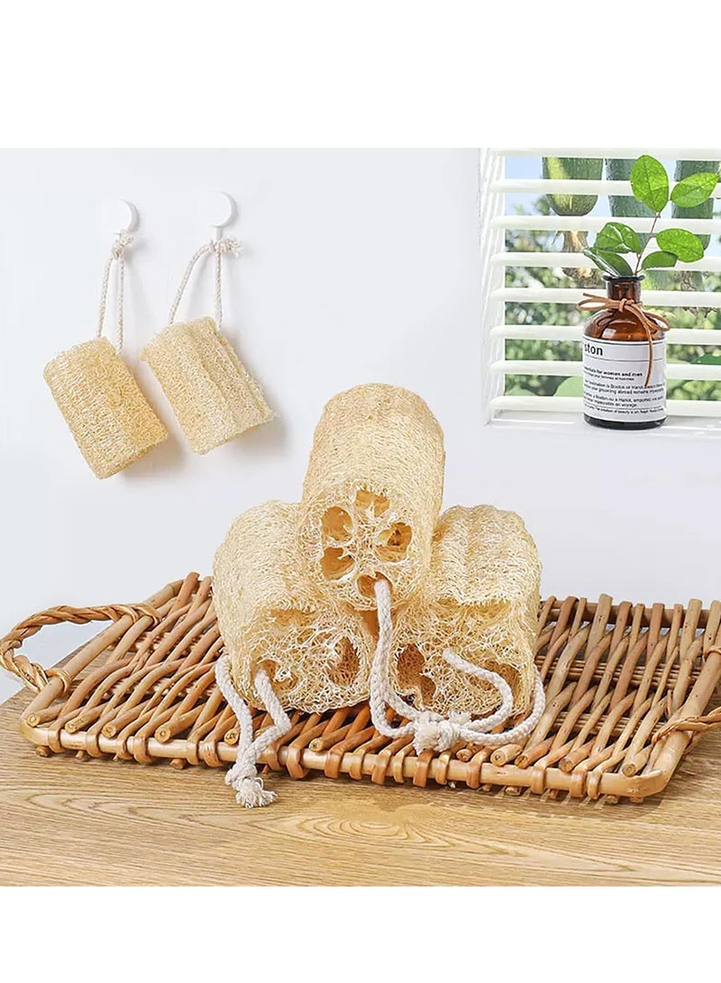 أوزيغالور 3 قطع ليفة طبيعية لتنظيف المطبخ والقدور والأطباق وأسطح غير لاصقة - Image 3